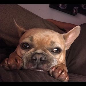 Meet your Posher, Scott